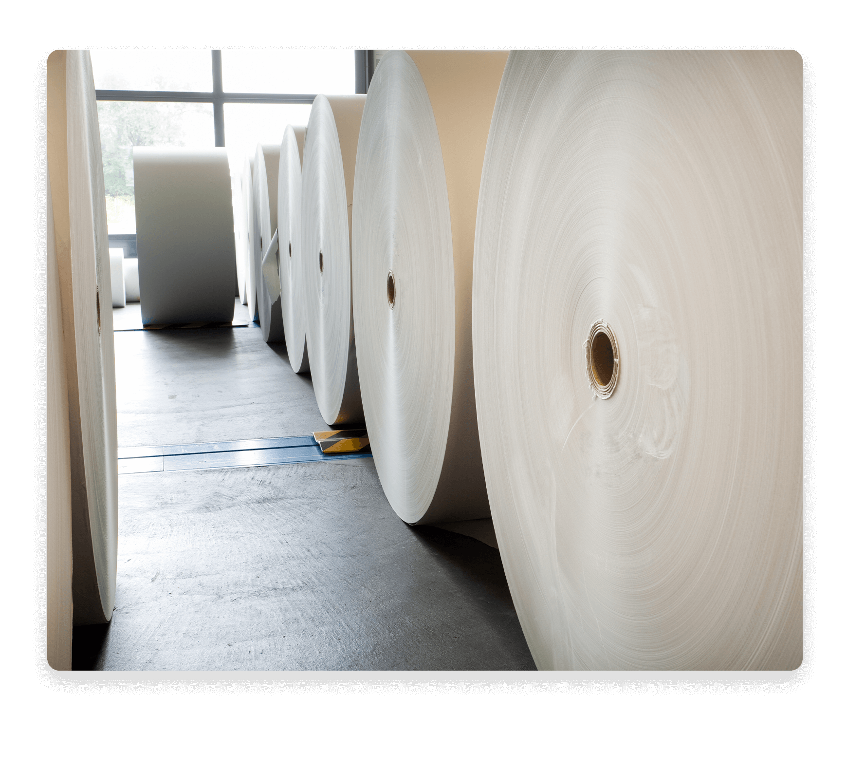 Large rolls of paper in a warehouse.